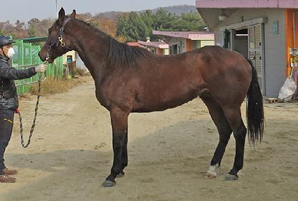 ������ ����