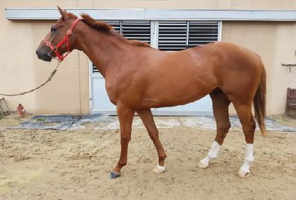 ŷ�׷��̽� ����