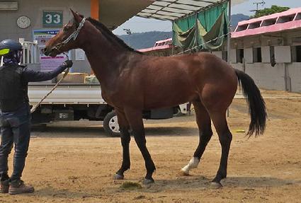 ����ŷ���� ����