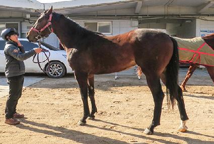 ������� ����