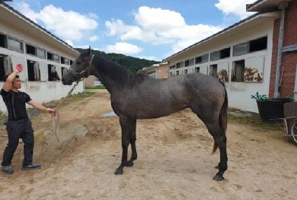 ���ǿ�� ����