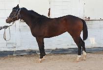 �¸���� (SEUNGNI DAERO) ����