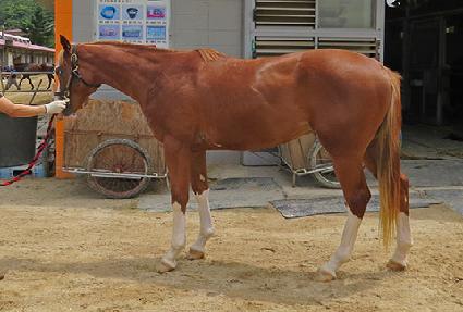 ���𰡵� ����