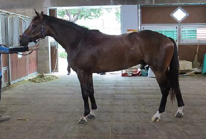 ��Ÿ���� ����