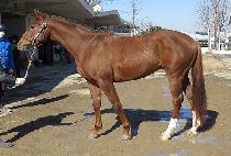 ���θ��ε� (BLOW MIND) ����