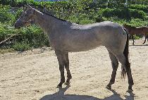 ���������� (DANCING WITH YOU) ����