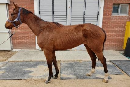 Ư����ġ ����