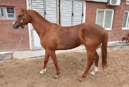 �����̽�ĭ ����