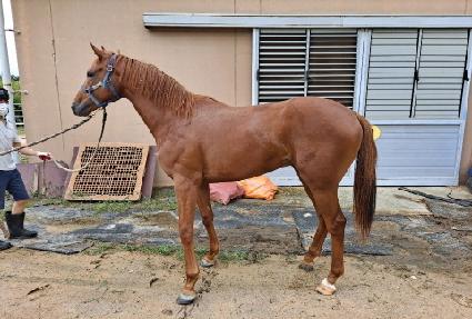 ĳ������� ����