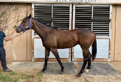 �����Ŀ� ����