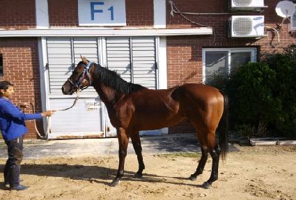 ���̷ֹ̹�Ŭ ����