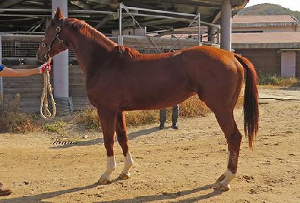 ������ ����