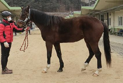 �������� ����