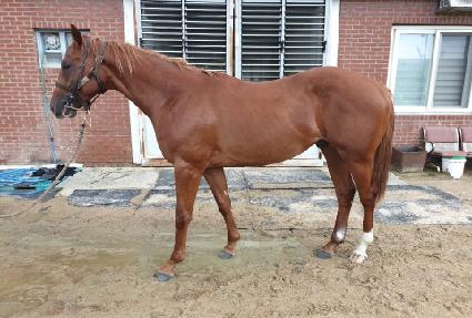 ����ũ�ν� ����