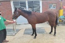 Ʈ�������� (TRIPLE JILJU) ����