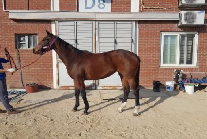 �������� ����