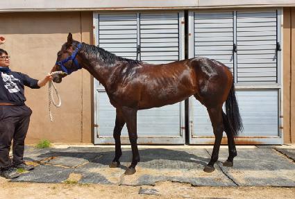 ���ӵ� ����