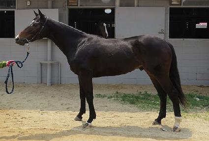 ��������� ����