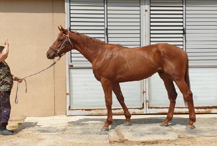 �ο����� ����