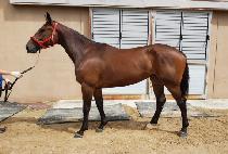 ����׸� (WORLD GREEN) ����