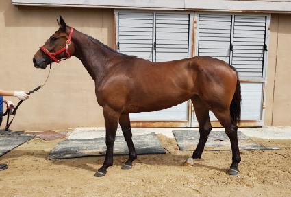 ����׸� ����