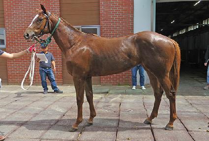 ť�ǵ���� ����