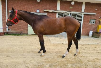 �����õ ����