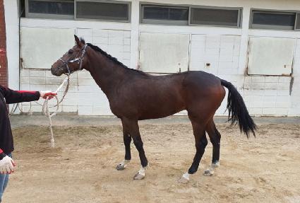 ������� ����