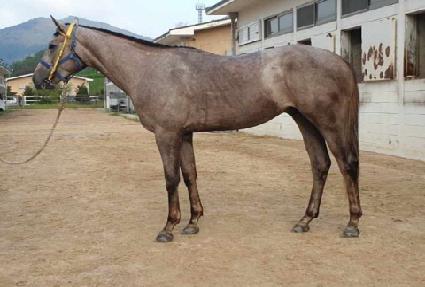 ��ũ��� ����