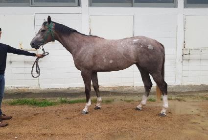 ���̺��� ����