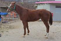 �������� (JEOLMEUN YOUNGUNG) ����