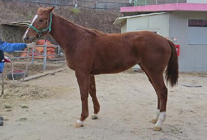 �������� ����