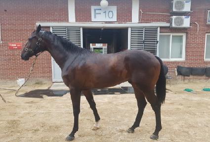 �ٿ�Ƽ���� ����