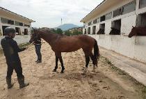 ���糪��Ʈ (BLUE NIGHT) ����