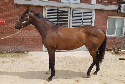 �߰ſ�� ����