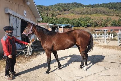 �����Ǿ� ����