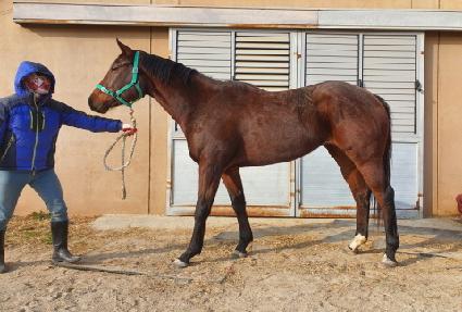 ǻ���� ����