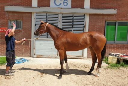 ������ǰ ����