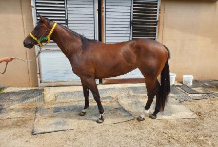 ����ũ��� ����