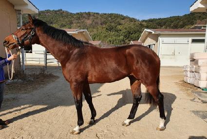 �����̽��ҽ� ����