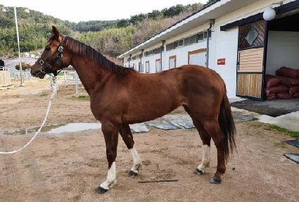 ������ ����