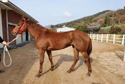 ���¸�ε� ����