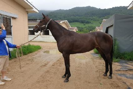 �̵峪��Ʈ�� ����