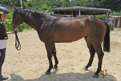 �������÷��� ����