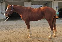 ��������ĵ (YES I CAN) ����