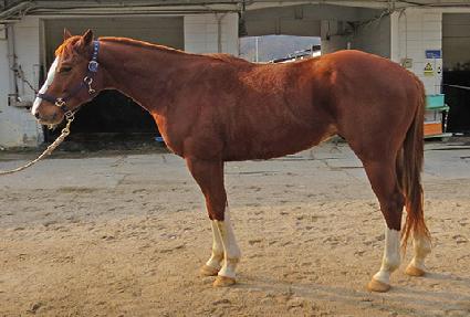 ��������ĵ ����