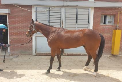 ĳġ����ī�� ����