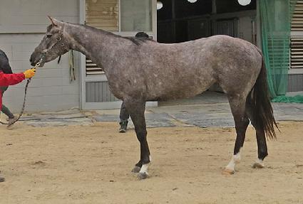 �����ð� ����