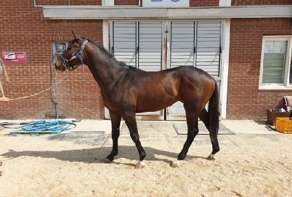 ���鸮������ ����