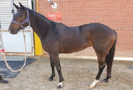 �۷ι����� ����